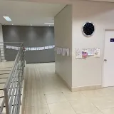 EXPOSIÇÃO DOS TRABALHOS