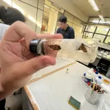 Visita técnica na Faculdade de Ciências Farmacêuticas de Araraquara (UNESP). 
