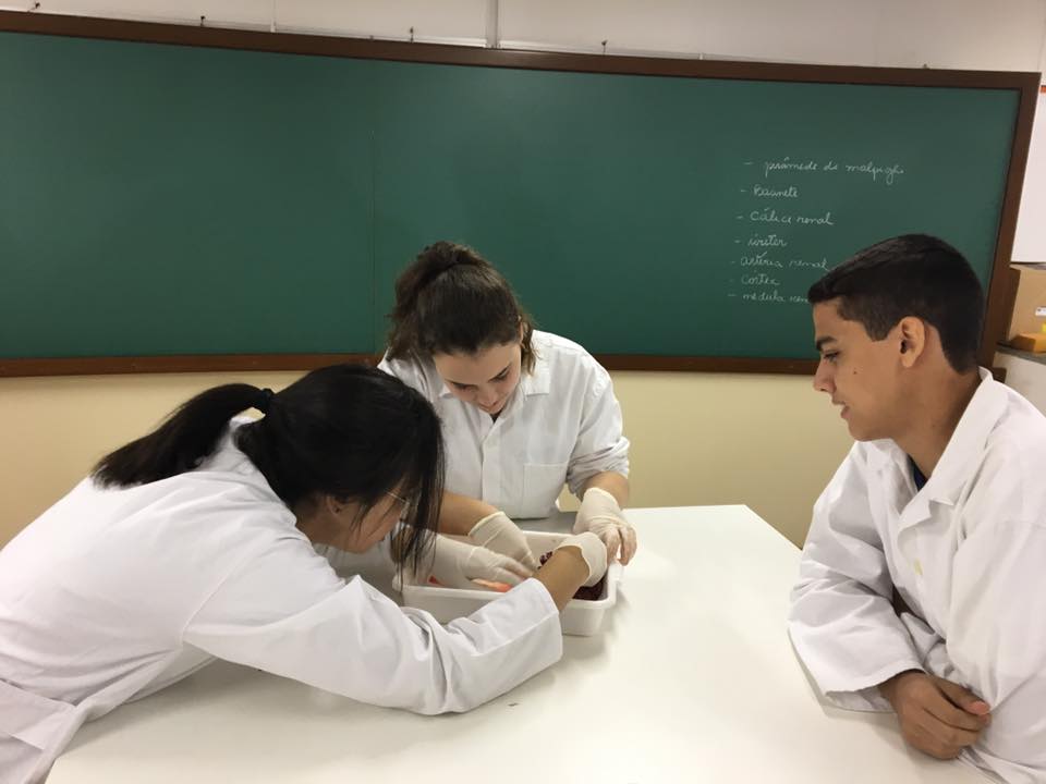 Laboratório Biologia