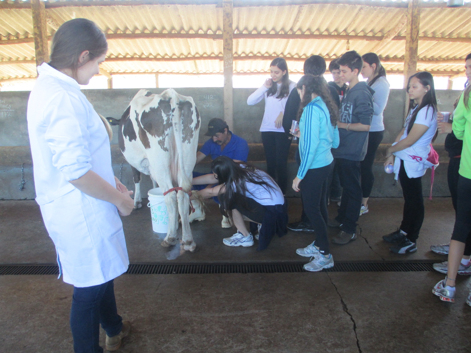 NULL